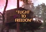 Land of the Lost: Flight to Freedom